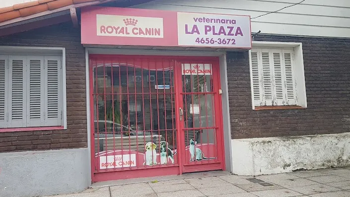 Alejandro R Zuccarelli