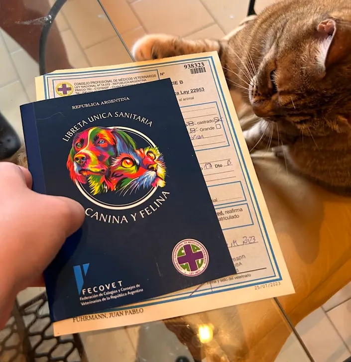Amivet – Veterinaria a Domicilio