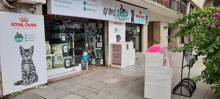 Animal Shop, Núñez