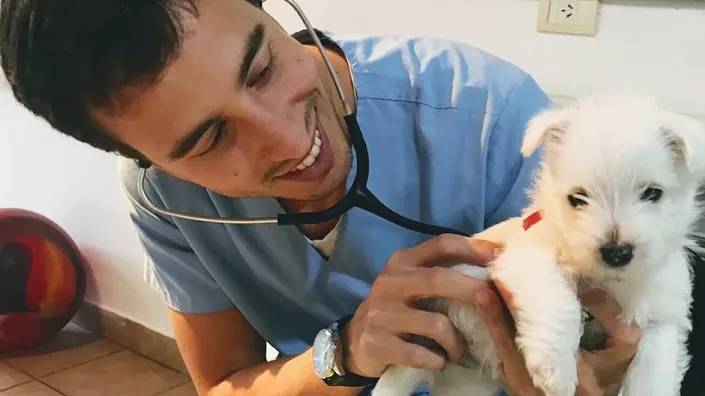 AP Veterinario a domicilio