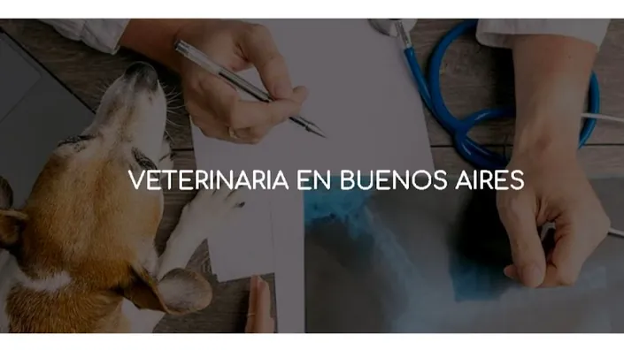 Asistencia Veterinaria a Domicilio
