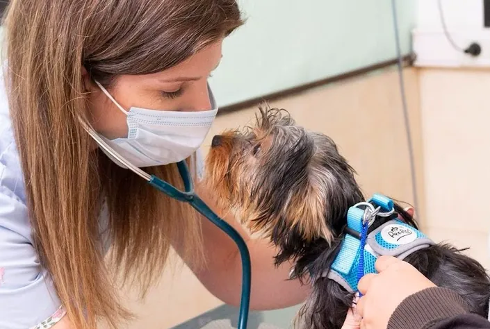 Avi Atención Integral Veterinaria