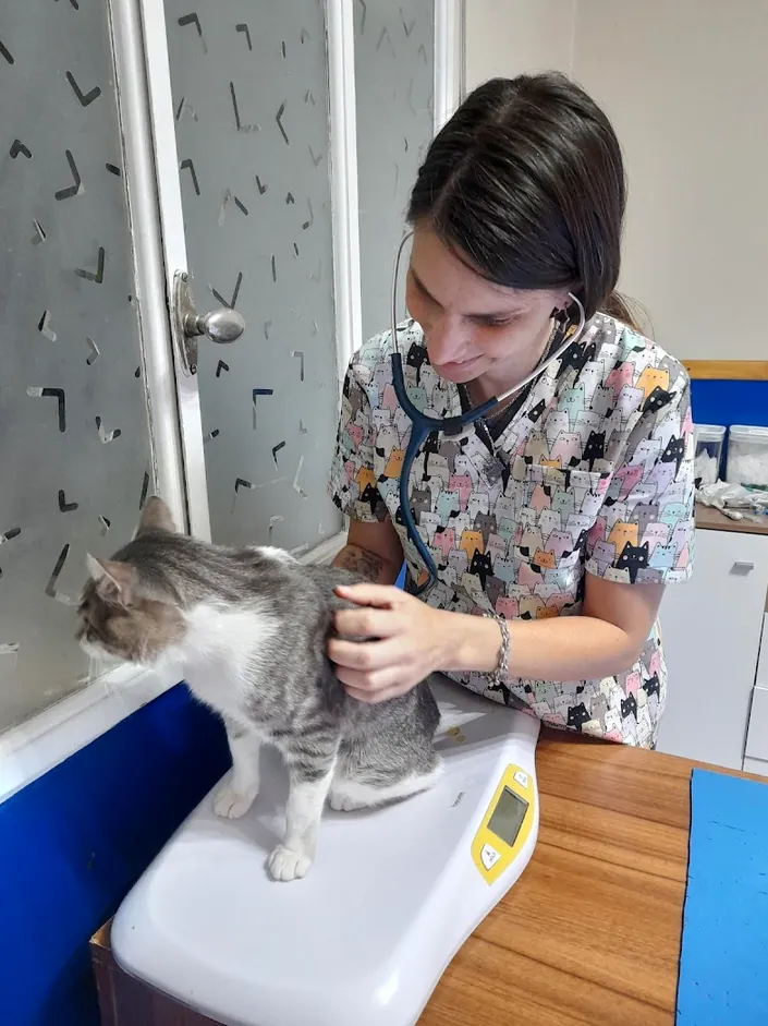 BLUE VET