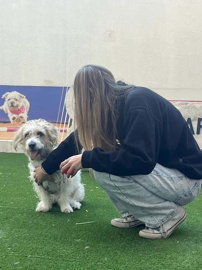 Casper Pet Store Olazabal 4770