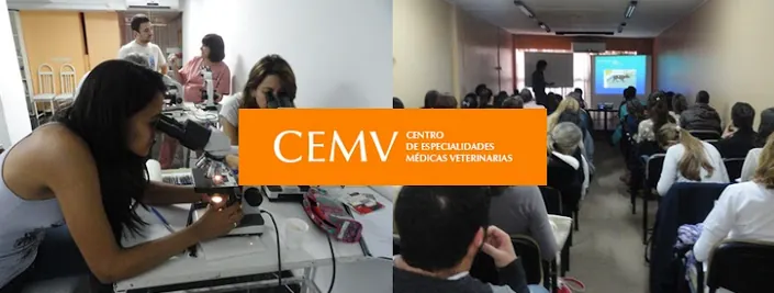 CEMV