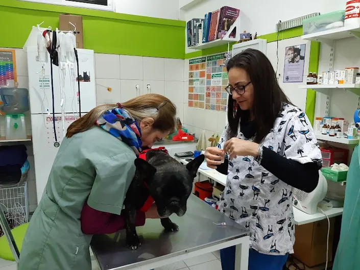 Centro Integral Veterinario DEL ALTO | Dra. Paola Paglilla
