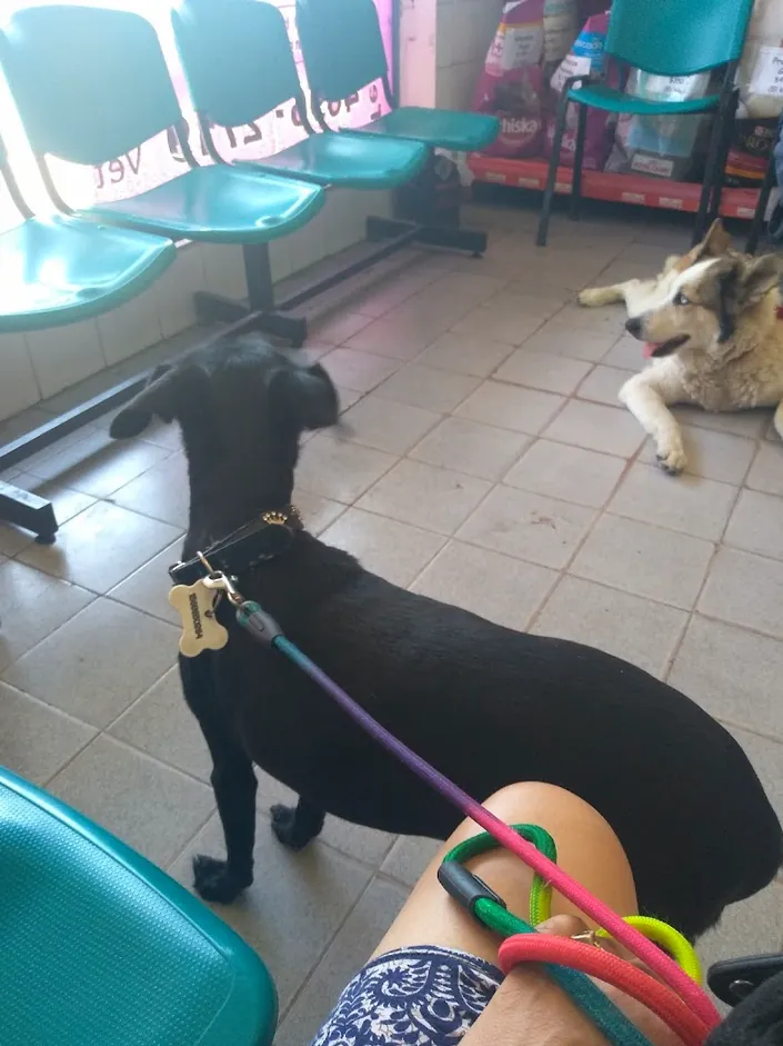 Centro Integral Veterinario, La Matanza
