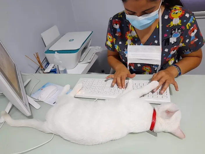 Centro Veterinario de Mascotas