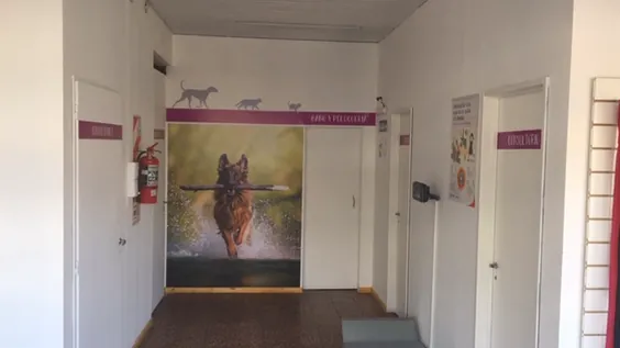 Centro Veterinario Morón