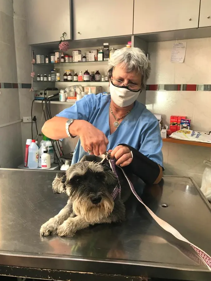 Clínica Veterinaria Ayelen