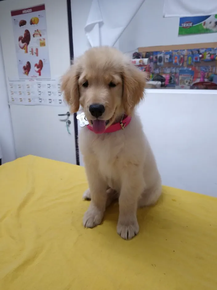 Clínica Veterinaria Bustamante