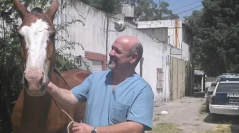 Clínica Veterinaria “…De Perros y Gatos”