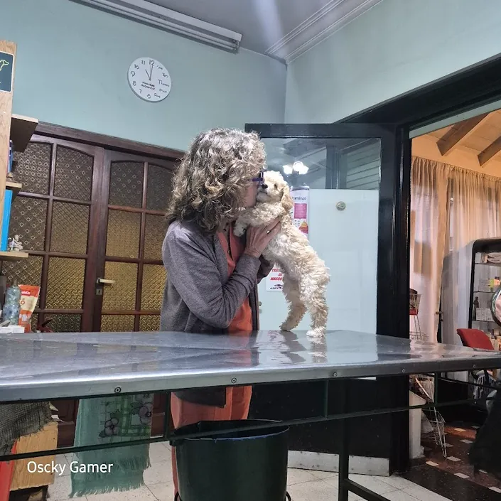 Clínica veterinaria Frías