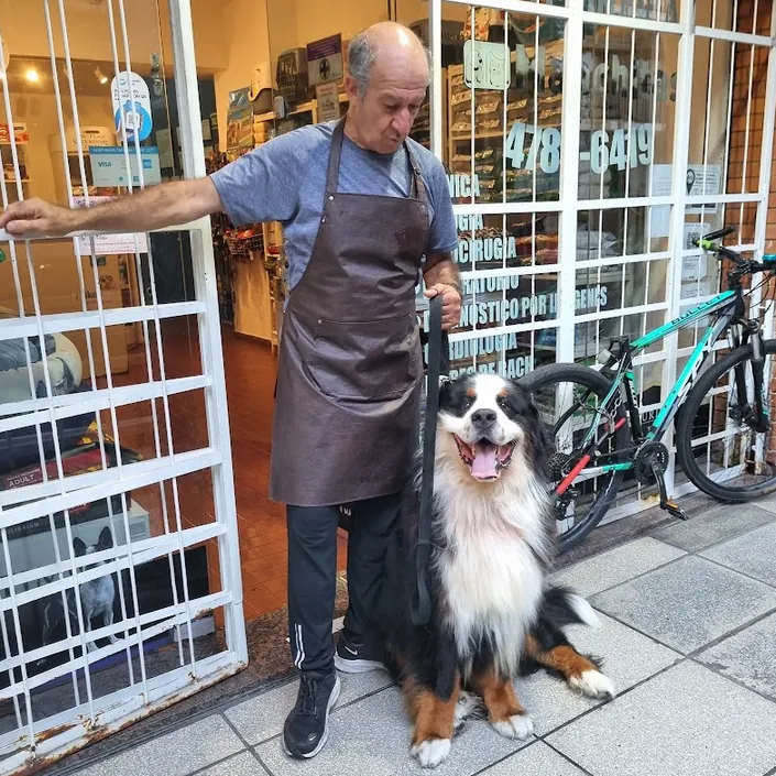 Clinica Veterinaria Manchitas Belgrano