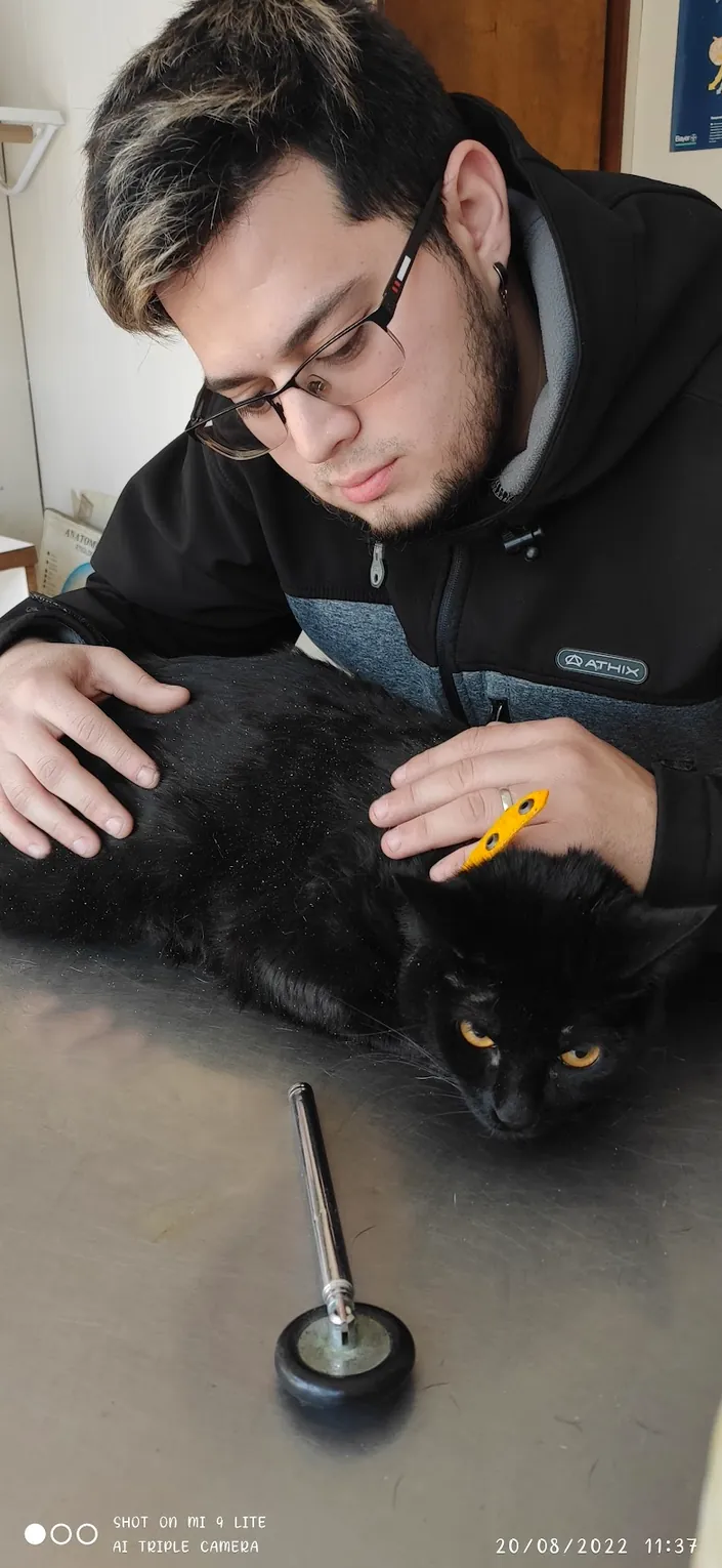 Clinica Veterinaria Marimon