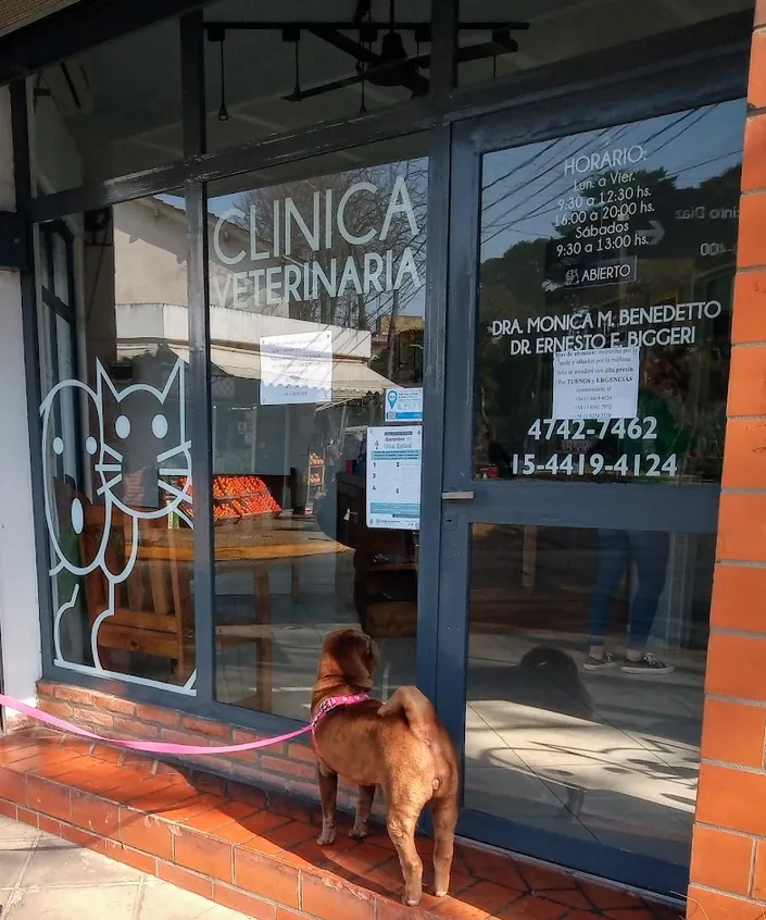 Clinica Veterinaria, San Isidro