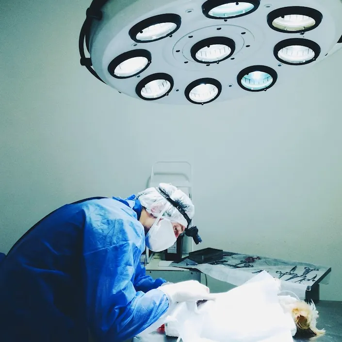 Clínica Veterinaria Santa María de los Buenos Aires