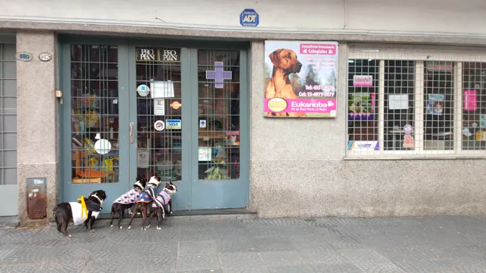 Consultorio Veterinario Colegiales