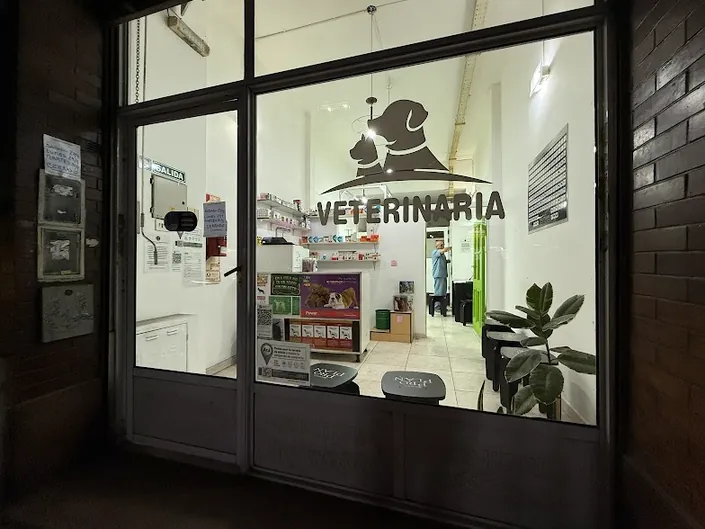Consultorio Veterinario, Flores