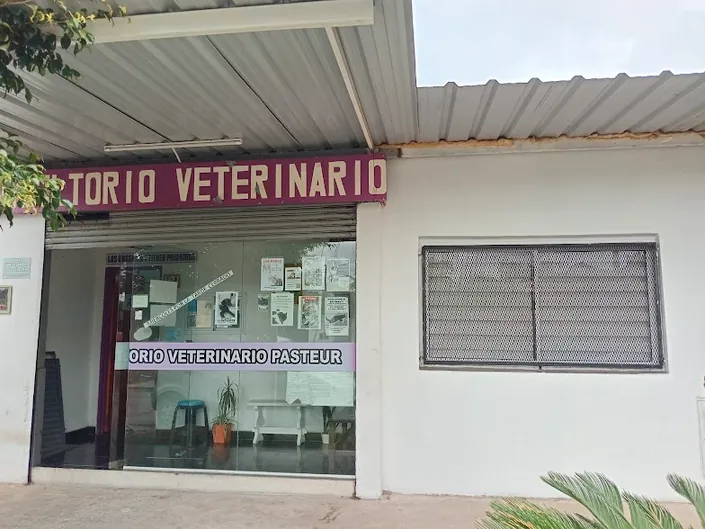 Consultorio Veterinario Pasteur