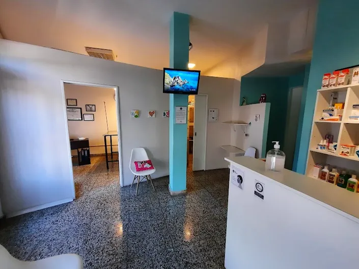 CVet | Consultorio Veterinario