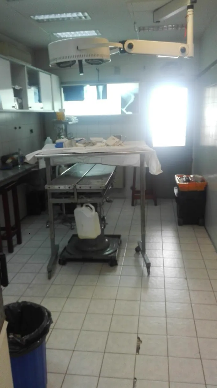 Derivaciones Quirúrgicas Veterinarias – DeQuiVet