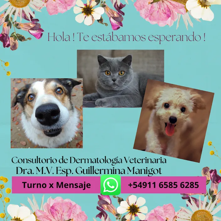 dermatologia veterinaria
