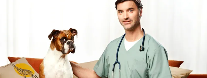 Di Federico Veterinaria
