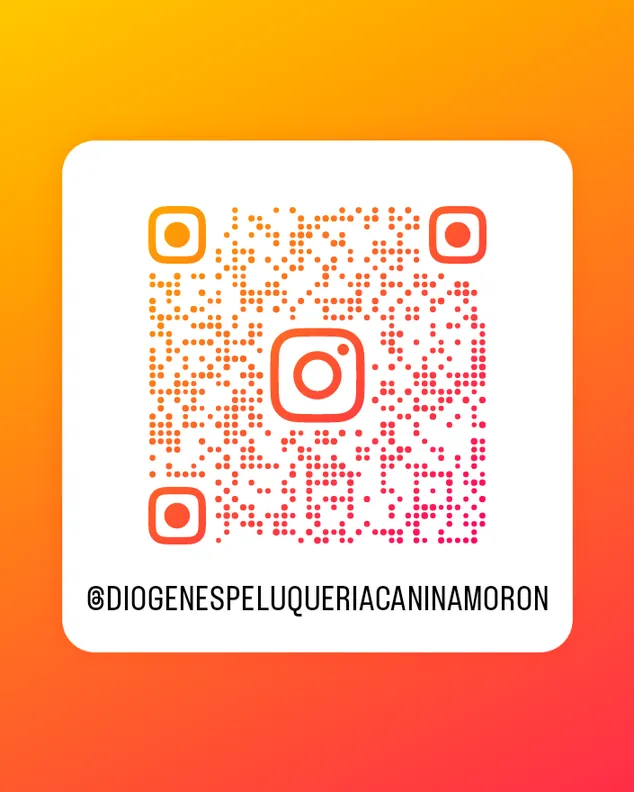 Diógenes Peluquería Canina