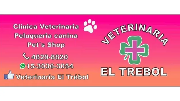 El Trébol