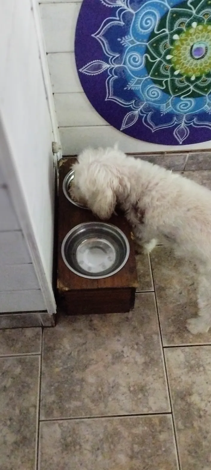 ENE SERVICIOS VETERINARIOS
