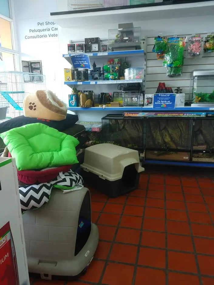 Flipper Veterinarias