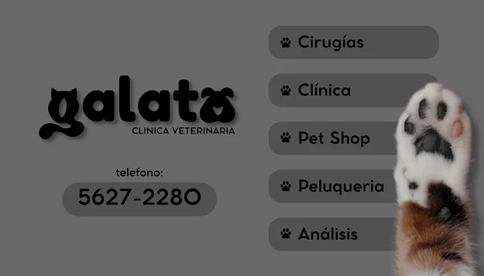 Galata Veterinaria