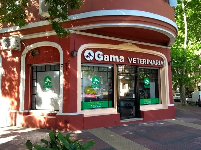 GAMA Veterinaria