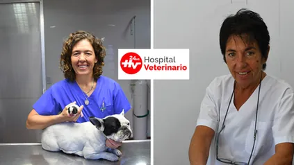 HV Hospital Veterinario