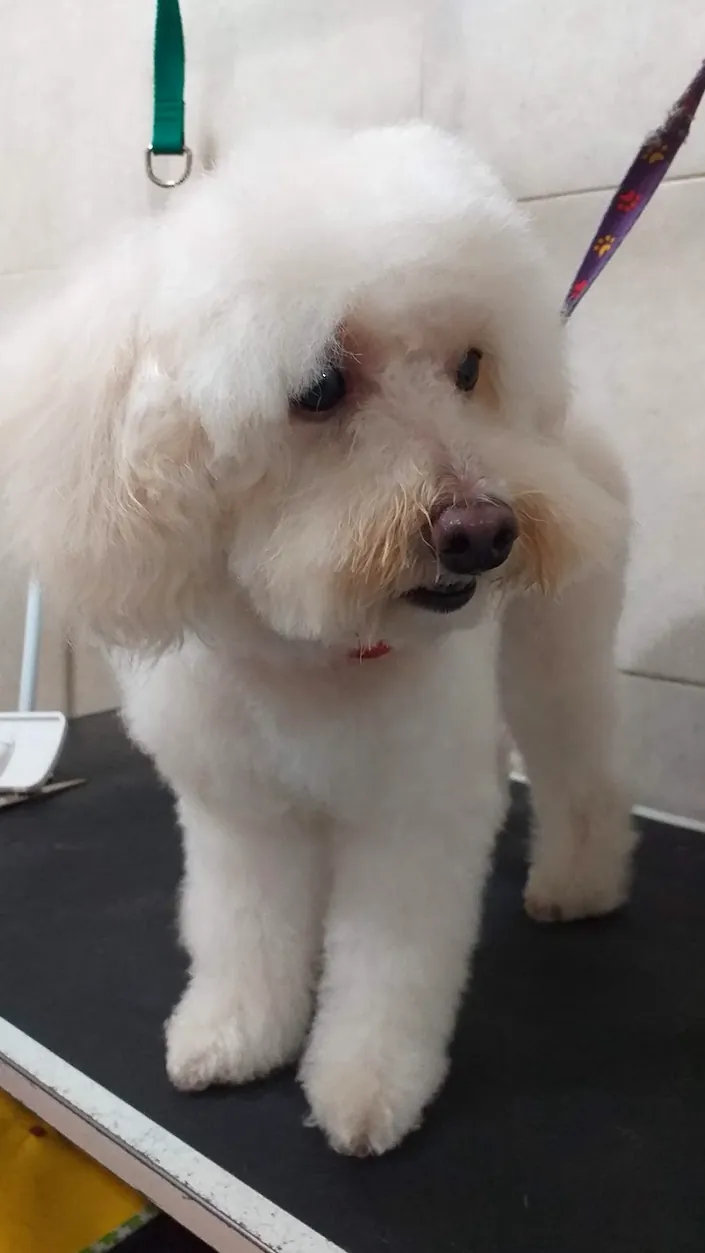 Lomas del Sur Veterinaria