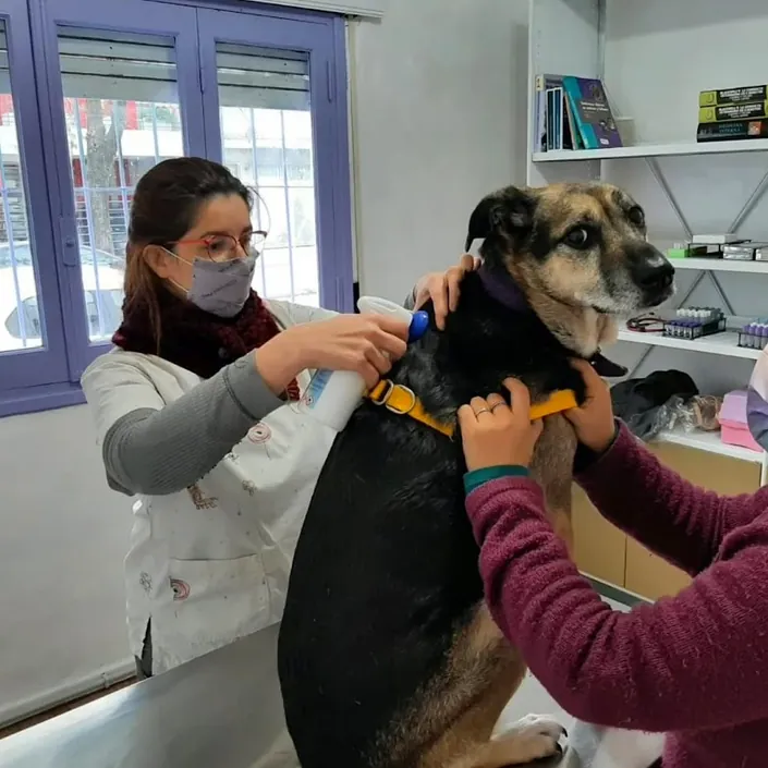 Manimal Veterinaria