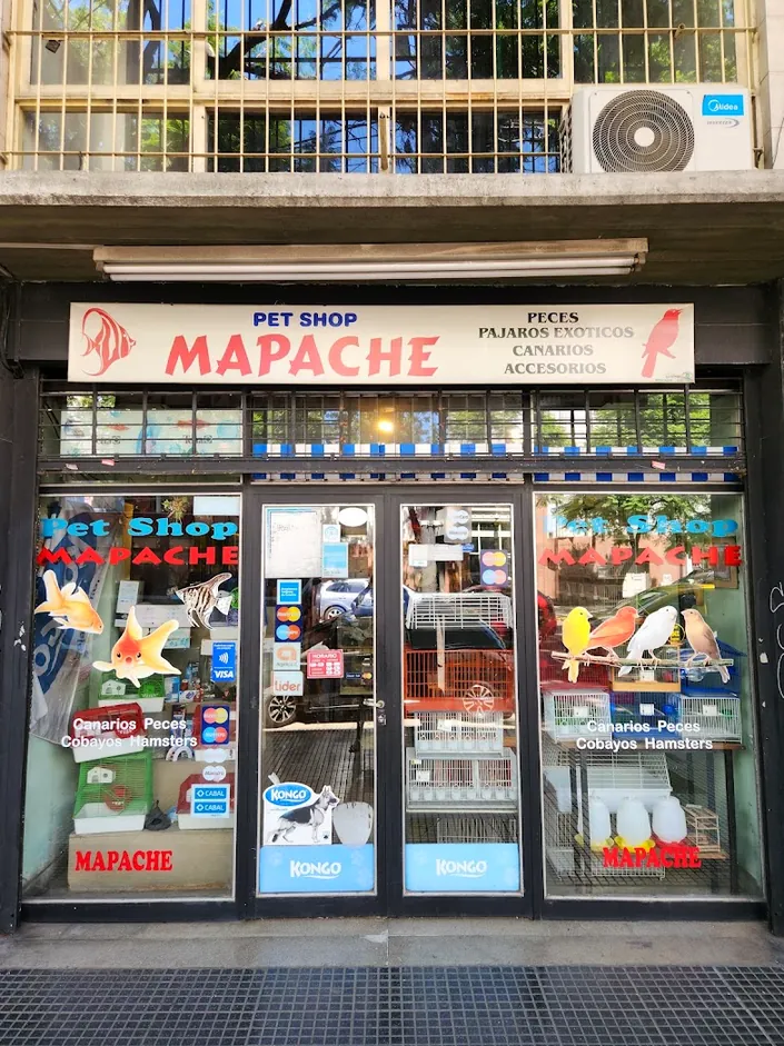 Mapache Pajarería Acuario
