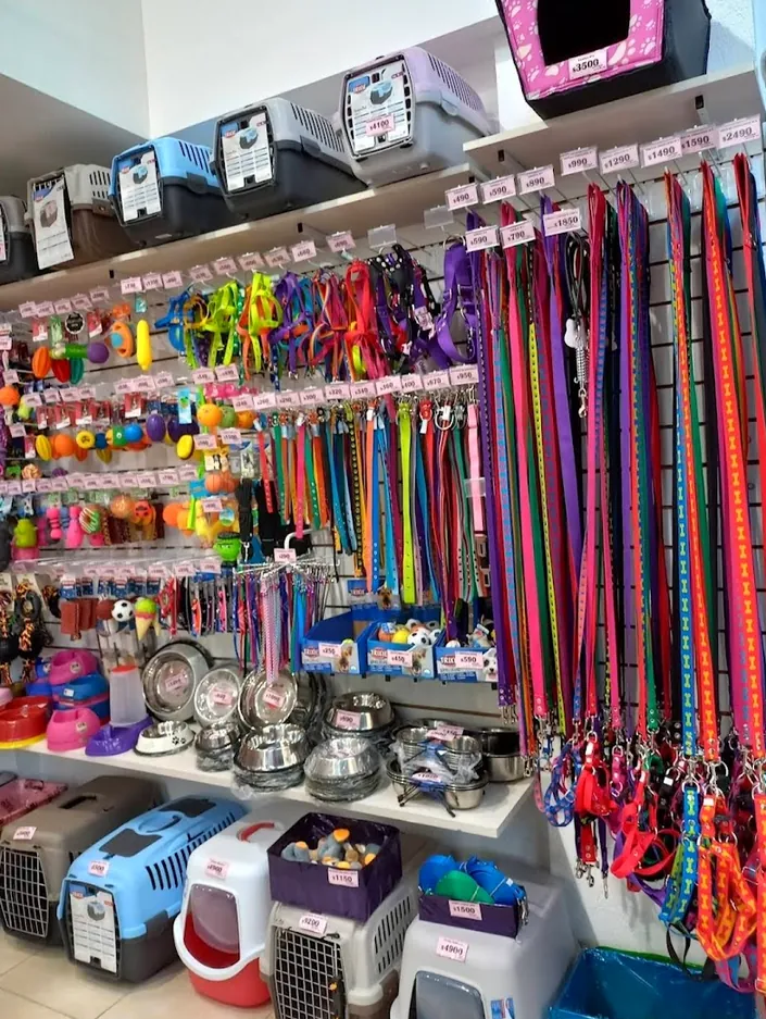 Mundo Animal San Cristóbal Veterinaria