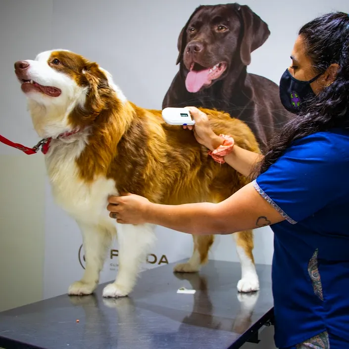 OSPAN – Obra Social para Animales