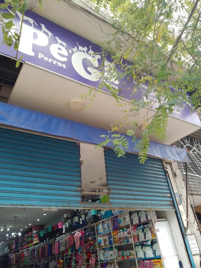 PE y Ga