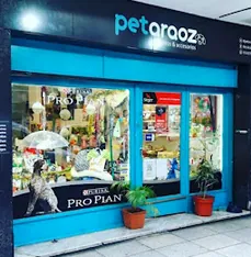 Pet Araoz