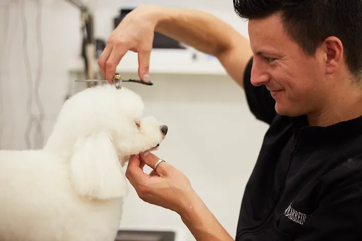 Pet House Styling Salon