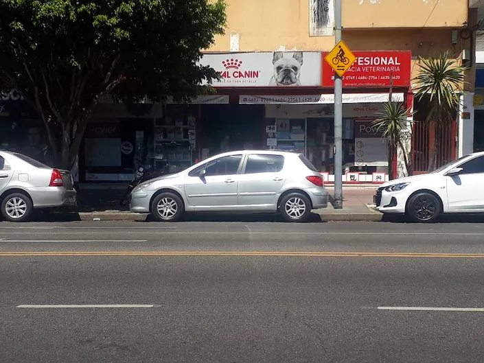 Profesional Farmacia Veterinaria, Flores