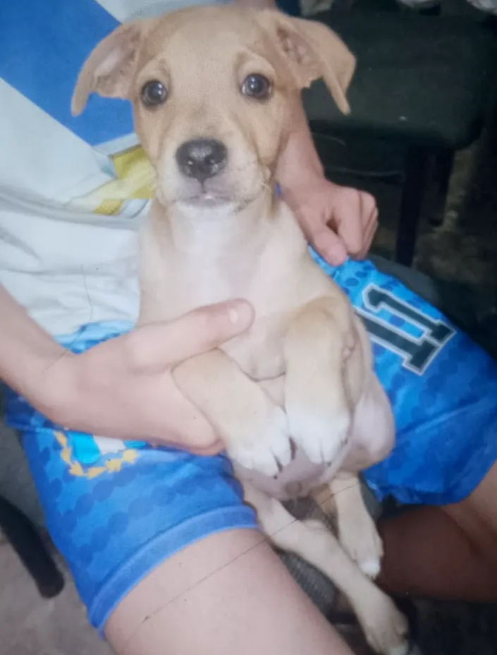 Purina Pro Plan