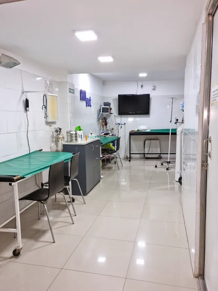 Resonancia y Tomografía Veterinaria RMVET S.A. Dr. Farfallini Daniel Horacio