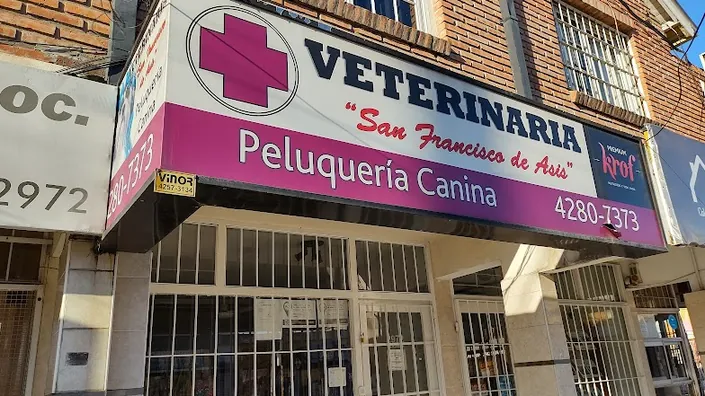 San Francisco de Asís