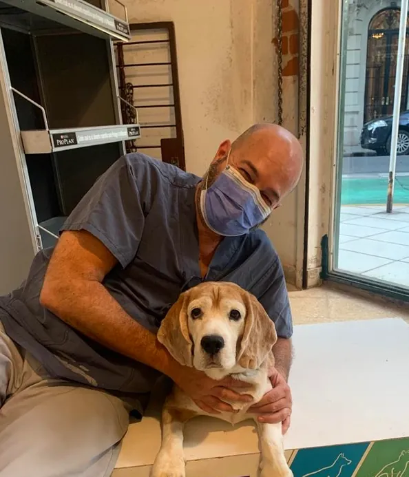 Simevet Veterinaria