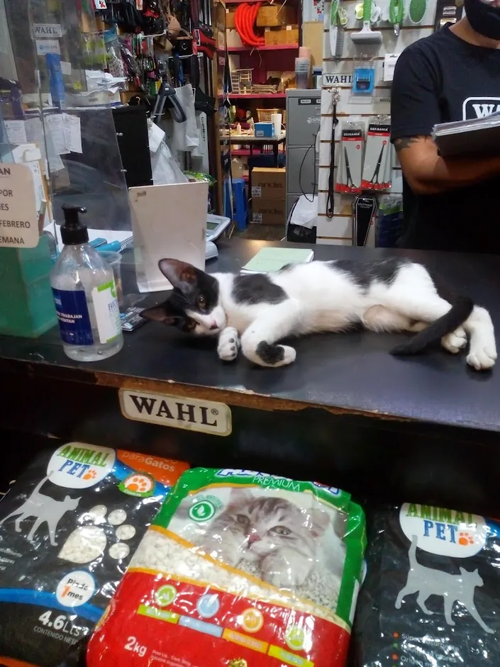 SpaCan Pet Shop