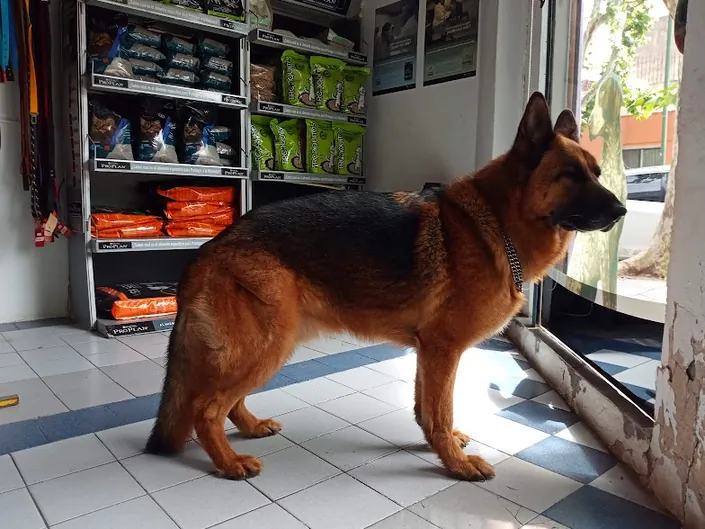 Tronador Clínica Veterinaria